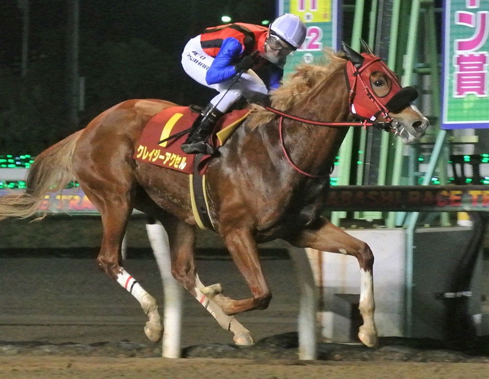 【画像・写真】【船橋・クイーン賞】必勝ポイント・過去10年データ編
