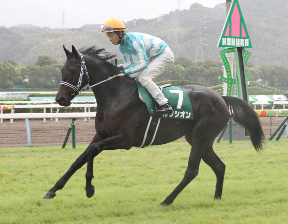 【画像・写真】3歳牝馬ルクシオン　調教中の骨折で安楽死…昨年11月には福島2歳S制覇