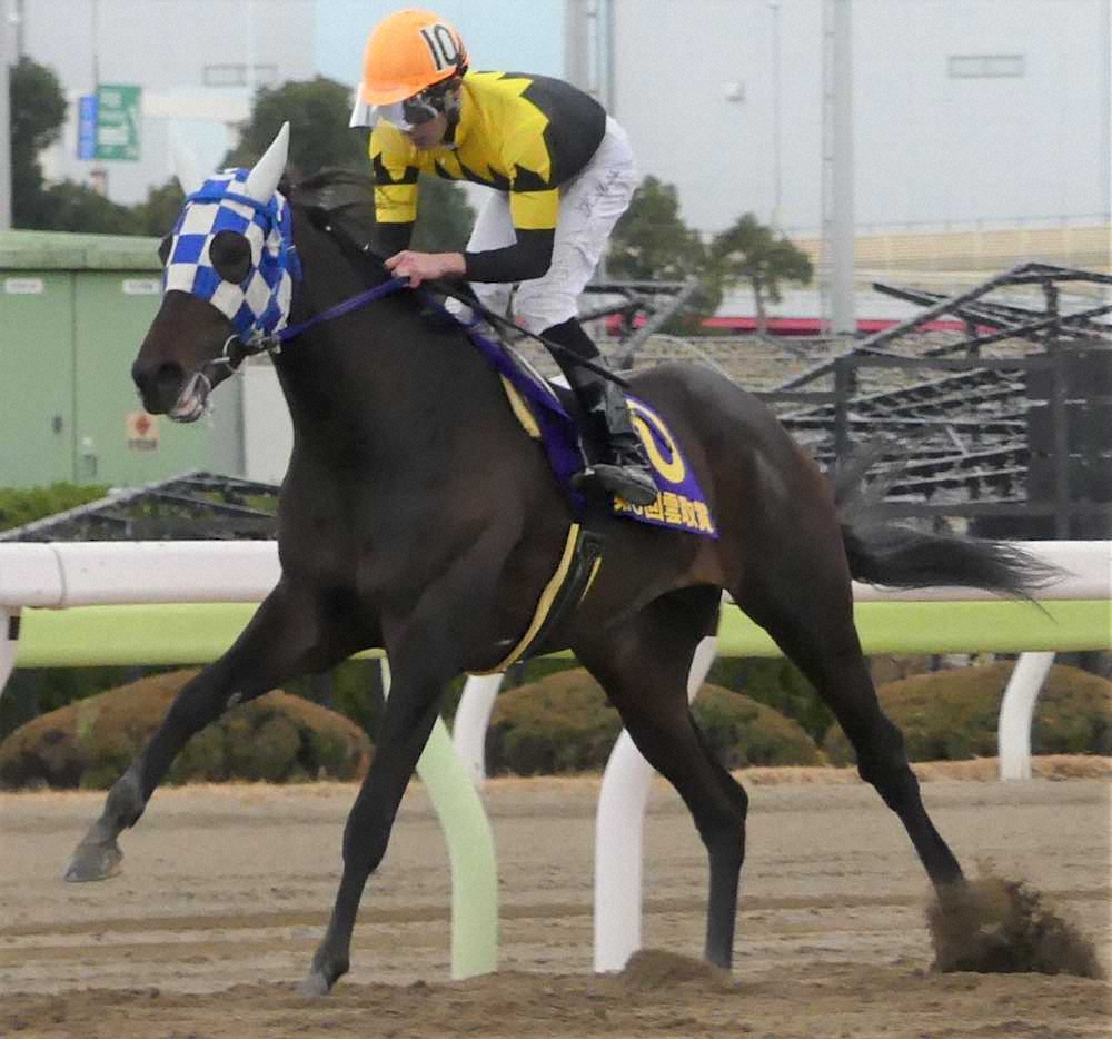 【画像・写真】【大井・雲取賞】ランリョウオー重賞初V！本橋「余裕の勝ち方だった」