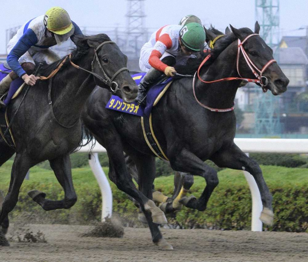 【画像・写真】【船橋・ダイオライト記念】17日発走　必勝ポイント・注目馬ピックアップ編