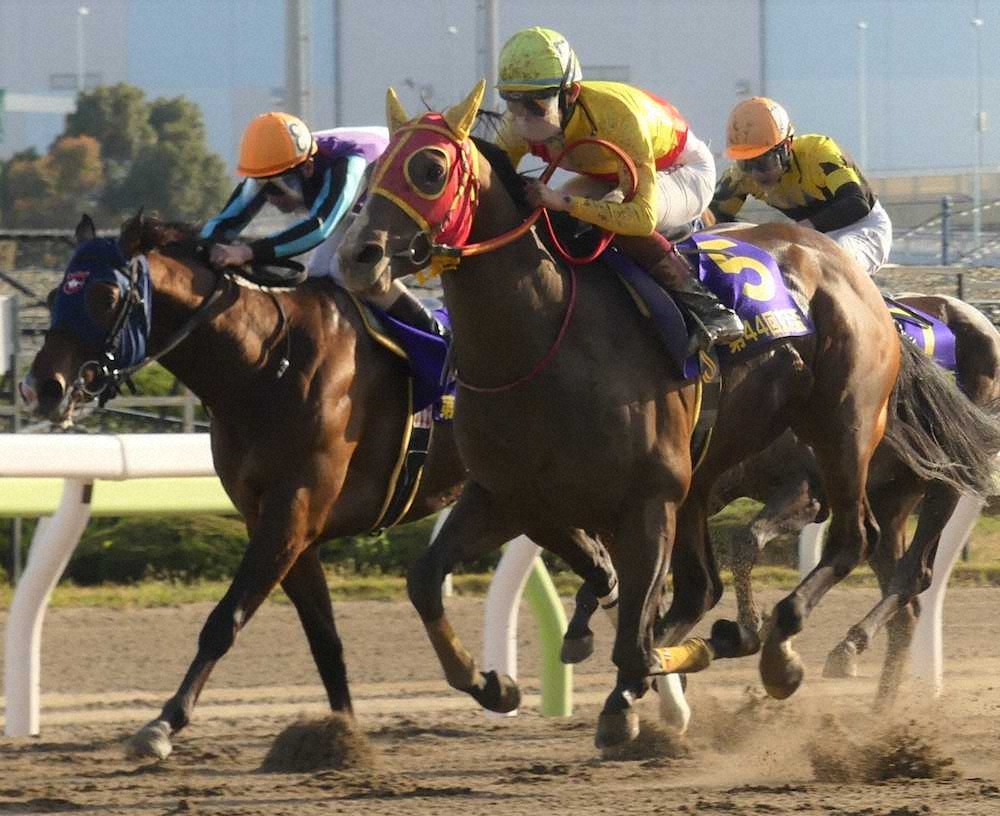 大井 京浜盃 チサット 重賞初vでクラシックへ名乗り 移籍後3連勝 笹川 楽しみ スポニチ Sponichi Annex ギャンブル