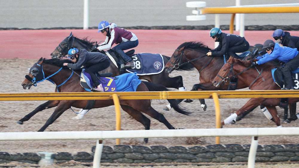 中井裕二が騎乗し、他厩舎の併せ馬をアッサリと抜き去るカツジ（左端）