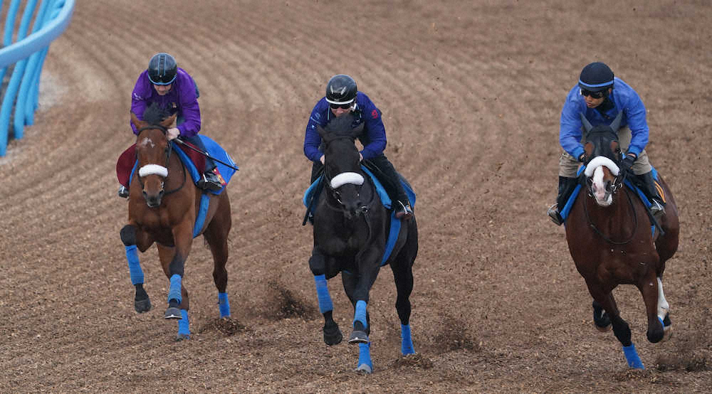 【画像・写真】【桜花賞1週前追い】サトノレイナス　力強く半馬身先着!ルメール「体も大人になった」