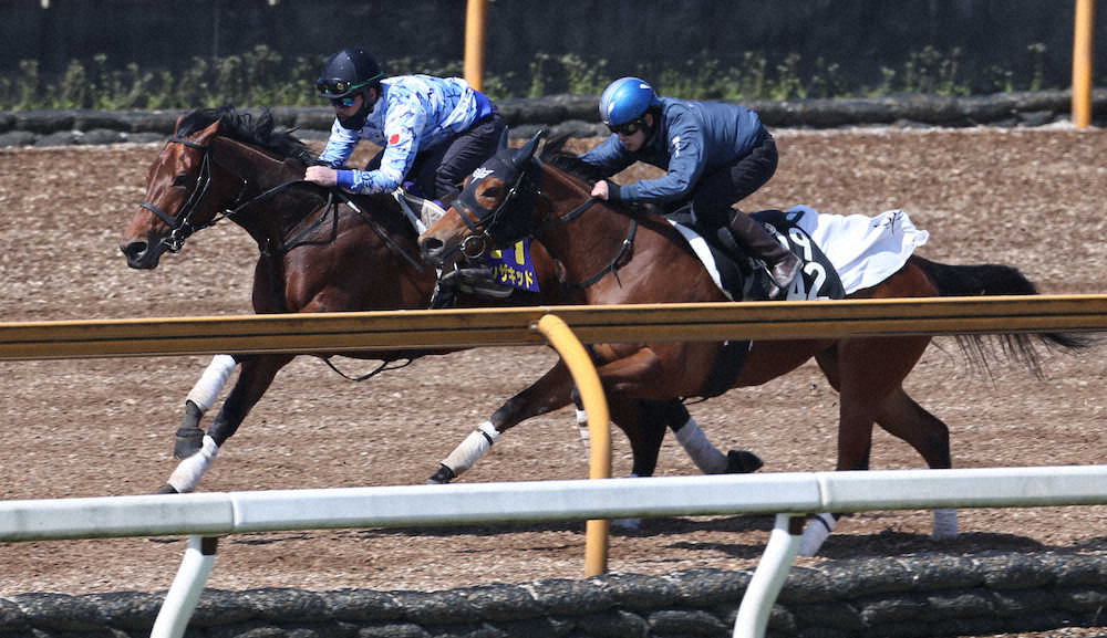 【画像・写真】【皐月賞1週前追い】ダノンザキッド圧巻11秒7！安田隆師満足げ「どれだけはじけるかと思ったが…」