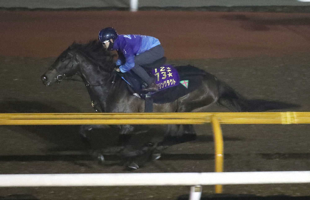 【画像・写真】【香港チャンピオンズデー】デアリングタクト軽やか仕上げ　松山「気が入ってきた」