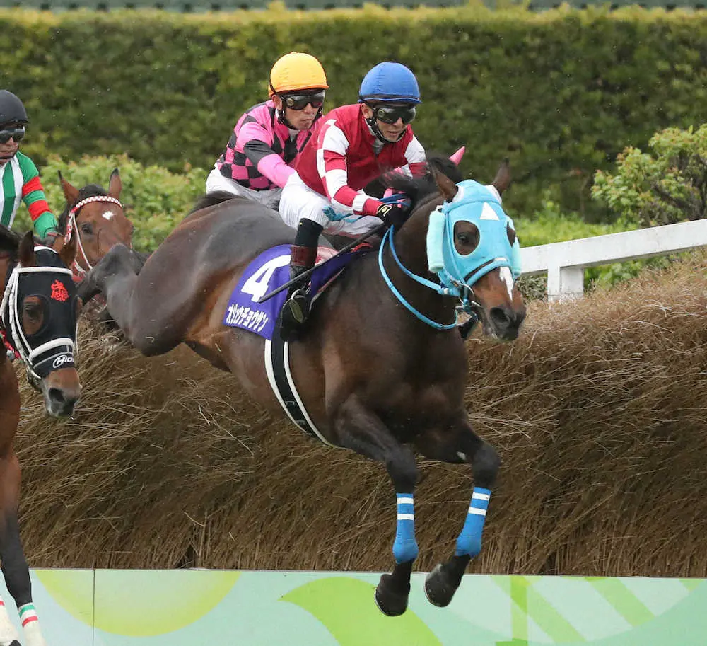 【画像・写真】17日の中山グランドジャンプで5着に終わったオジュウチョウサン（撮影・西川祐介）