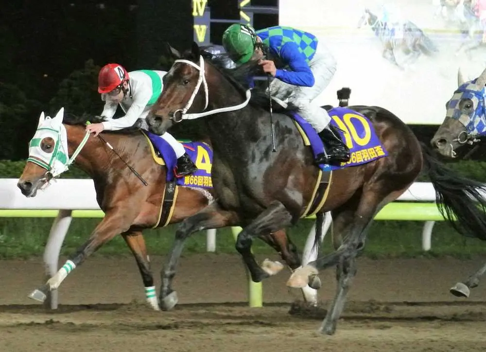 【画像・写真】【大井・羽田盃】トランセンデンス1冠！小久保師＆森は2日連続クラシック制覇
