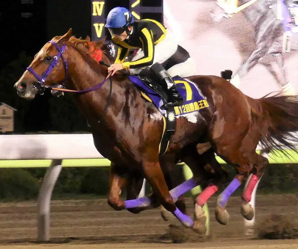 【画像・写真】【船橋・かしわ記念】5日発走　注目馬ピックアップ編