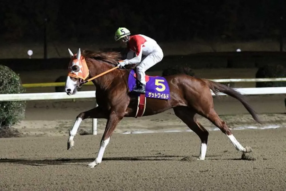 【画像・写真】【佐賀　佐賀スプリングカップ】9日発走　ゲットワイルド重賞初Vだ