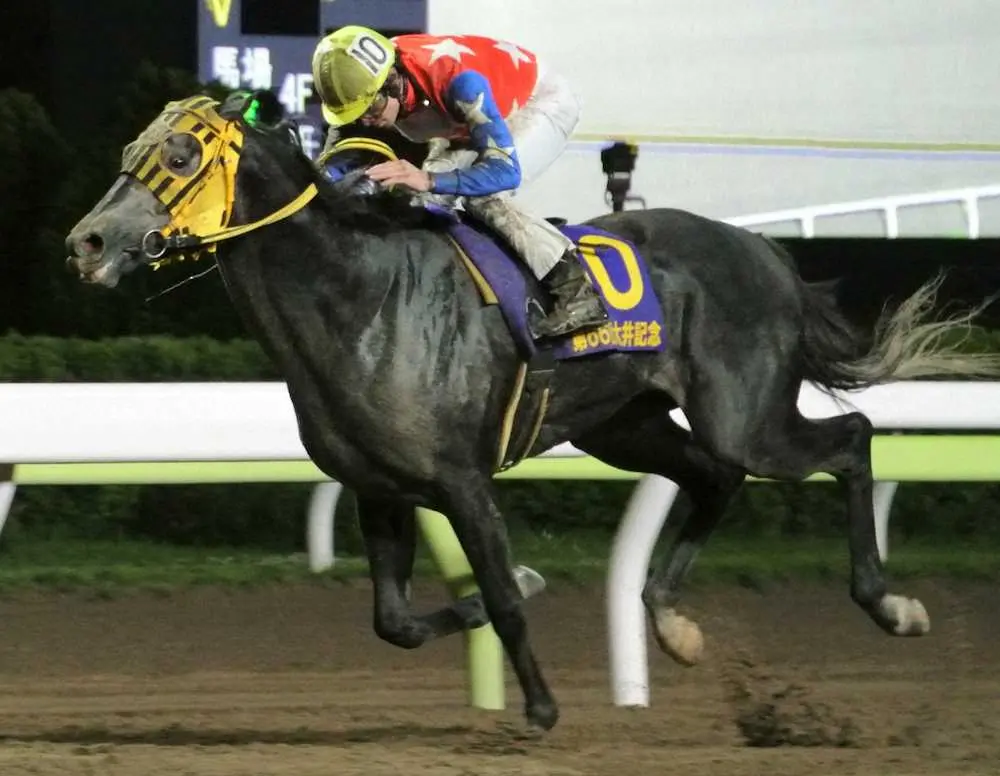 【画像・写真】【TCK・大井記念】ミューチャリー圧勝！直線だけで6馬身差、いざ帝王賞へ