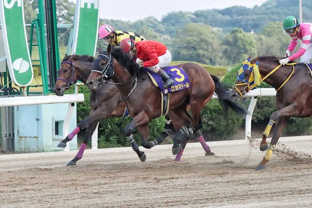 【画像・写真】山崎尋美師　重賞初Vロカマドールと挑戦続ける