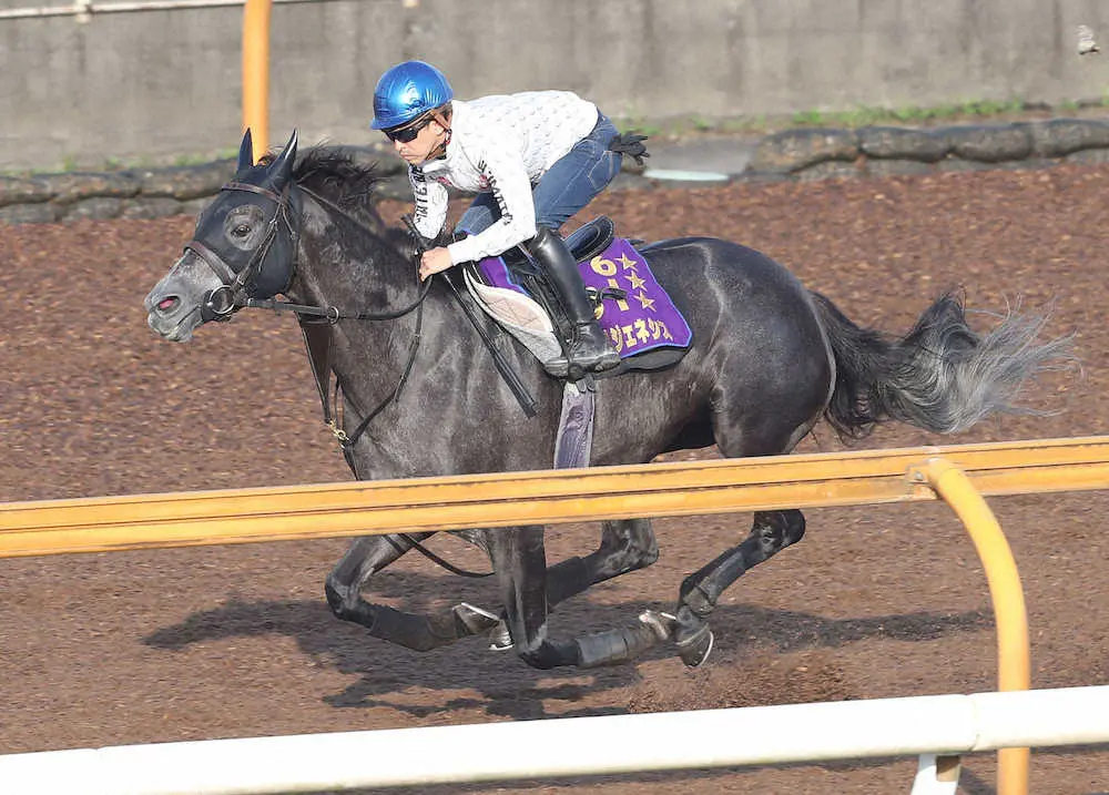 【画像・写真】【宝塚記念2週前追い】クロノジェネシス　伸びシャープ、海外経験糧にGP3連覇へ