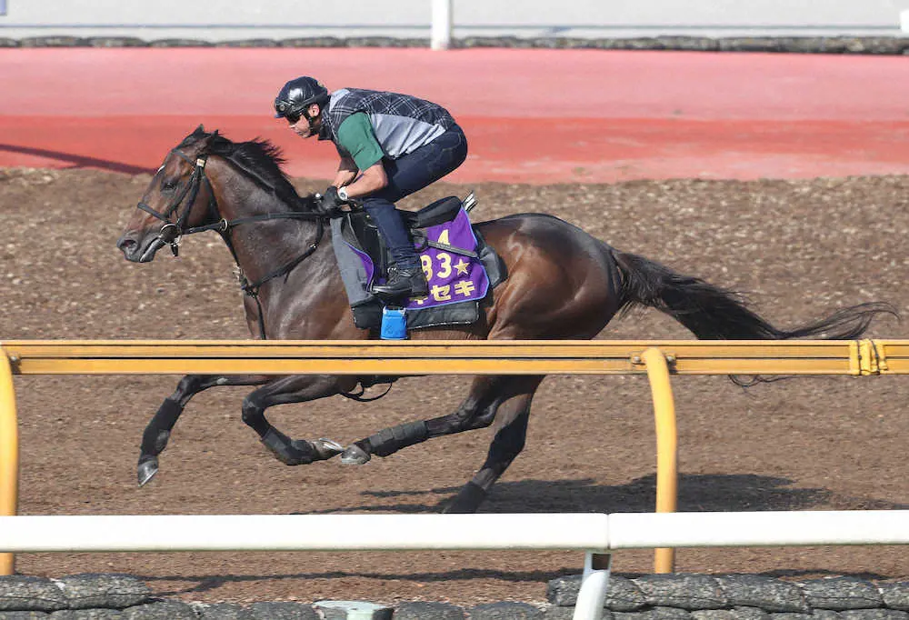 【画像・写真】【宝塚記念2週前追い】キセキ　香港遠征疲れなし、辻野師好感触「順調に調整」