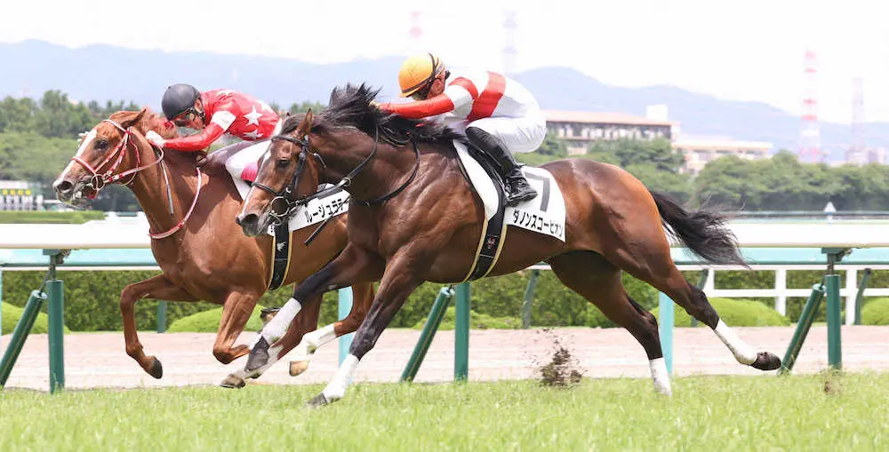＜阪神5R・2歳新馬＞　ゴール前でルージュラテール（左）を捕らえ勝利するダノンスコーピオン　（撮影・亀井　直樹）