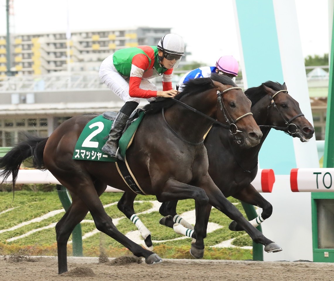 たくのみ 主人公 天月みちるを今村彩夏が担当 スポニチ Sponichi Annex 芸能