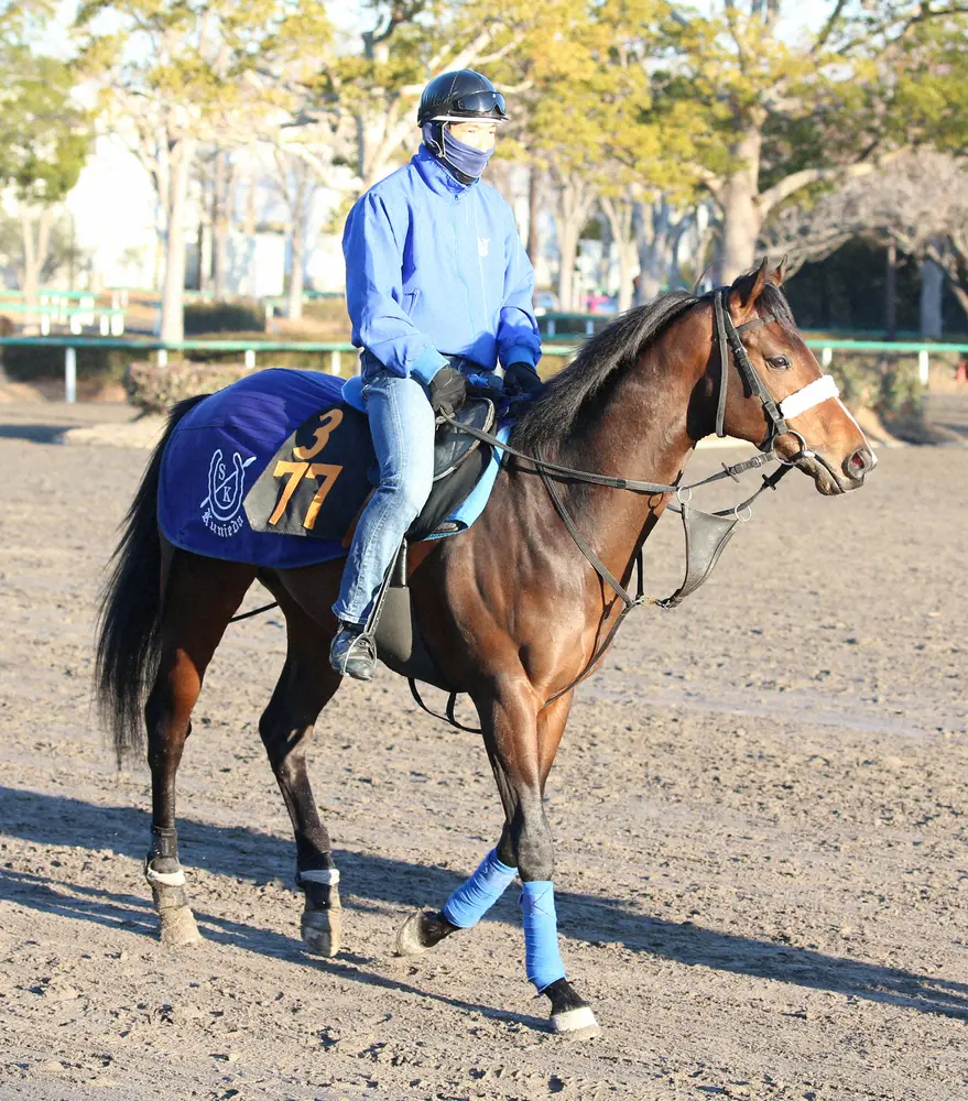 【画像・写真】コズミックフォース