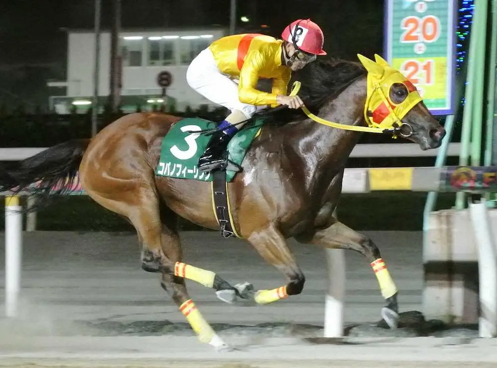 【画像・写真】【船橋・習志野きらっとスプリント】コパノフィーリング重賞初V！3馬身差圧勝