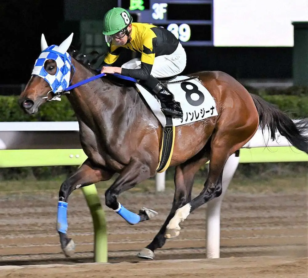 【画像・写真】【浦和11R・プラチナC】ダノンレジーナ重賞連勝！