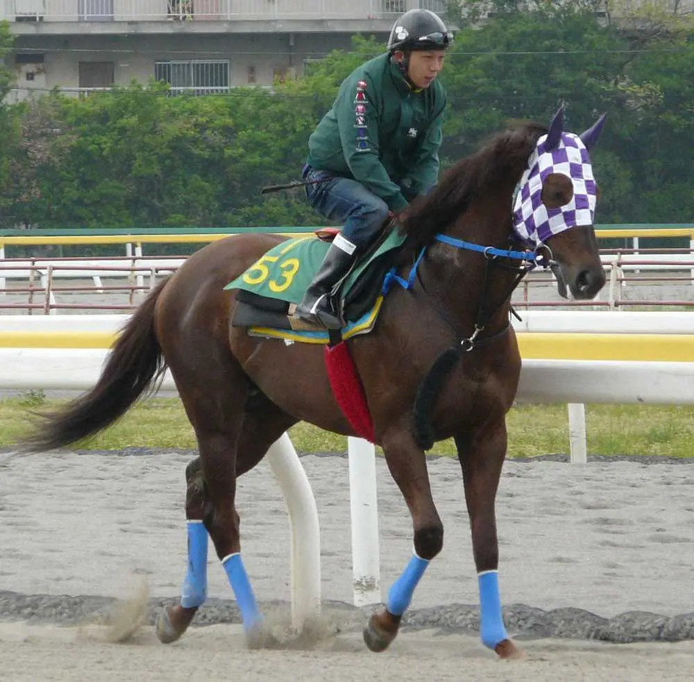 【画像・写真】【船橋11R・フリオーソLC】優勝馬に日本テレビ盃優先出走権