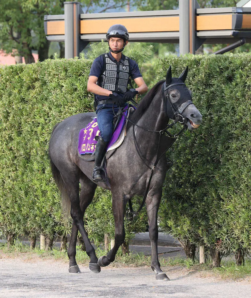 【画像・写真】クロノジェネシス　凱旋門賞へ馬場入り再開、斉藤崇師「いつも通り」
