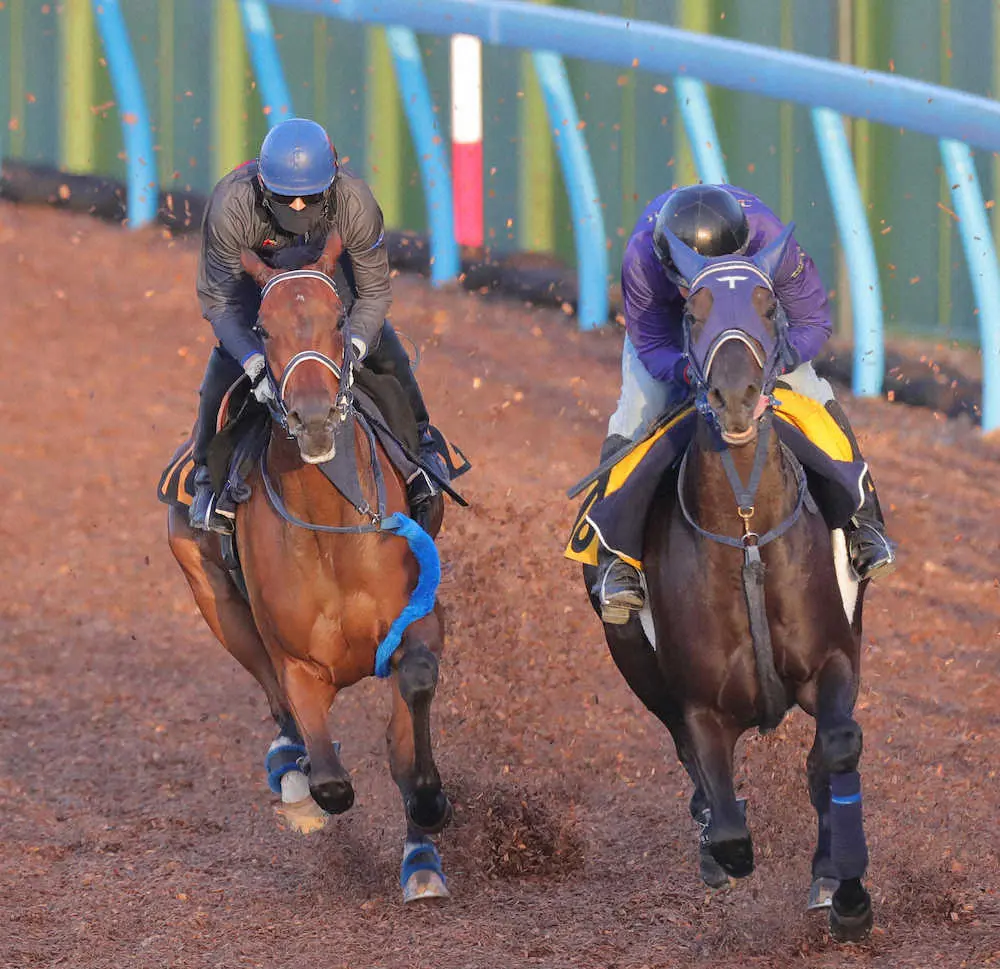 ＜紫苑S＞Wコースでゴルトベルク（右）と併せ馬で追い切るエクランドール