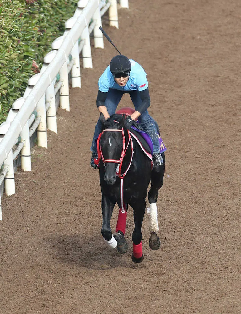 【画像・写真】コントレイル　帰厩後初の馬場入り、坂路で軽快脚さばき