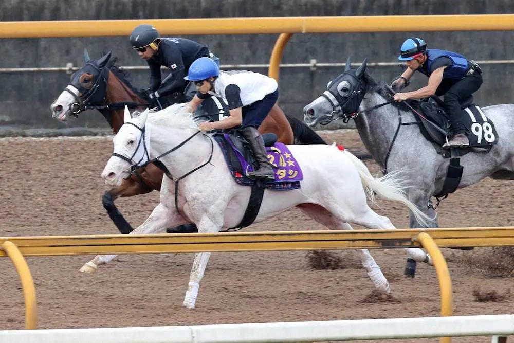 【画像・写真】【秋華賞2週前追い】ソダシ　3頭併せで最先着、須貝師「思い描いた通り」