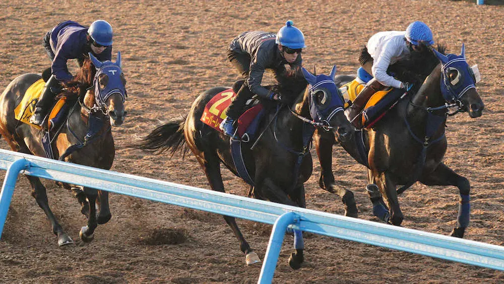 【画像・写真】【秋華賞1週前追い】ユーバーレーベン　体もふっくらと、手塚師「動きは良くなっています」