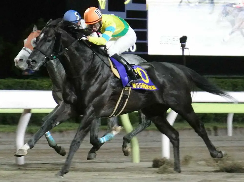 【画像・写真】【大井・東京盃】サクセスエナジー重賞6勝目！