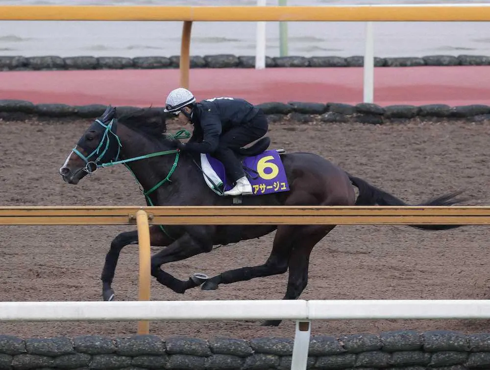 【画像・写真】【菊花賞1週前追い】エアサージュ　操縦性アップ、藤岡「反応自体はスムーズ」