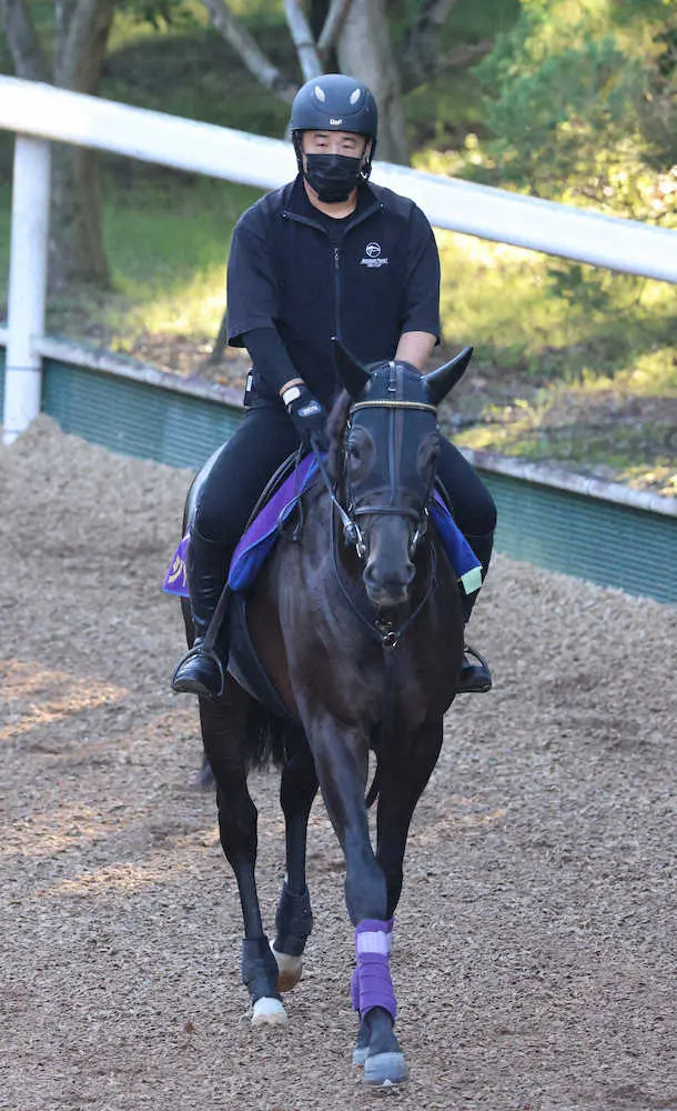 【画像・写真】シャフリヤール　ジャパンC参戦、アーモンドアイ以来の3歳V目指す