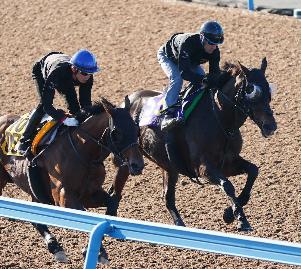 【画像・写真】【天皇賞・秋1週前追い】グランアレグリア　楽々2馬身先着、ルメールも笑顔「凄くいい」