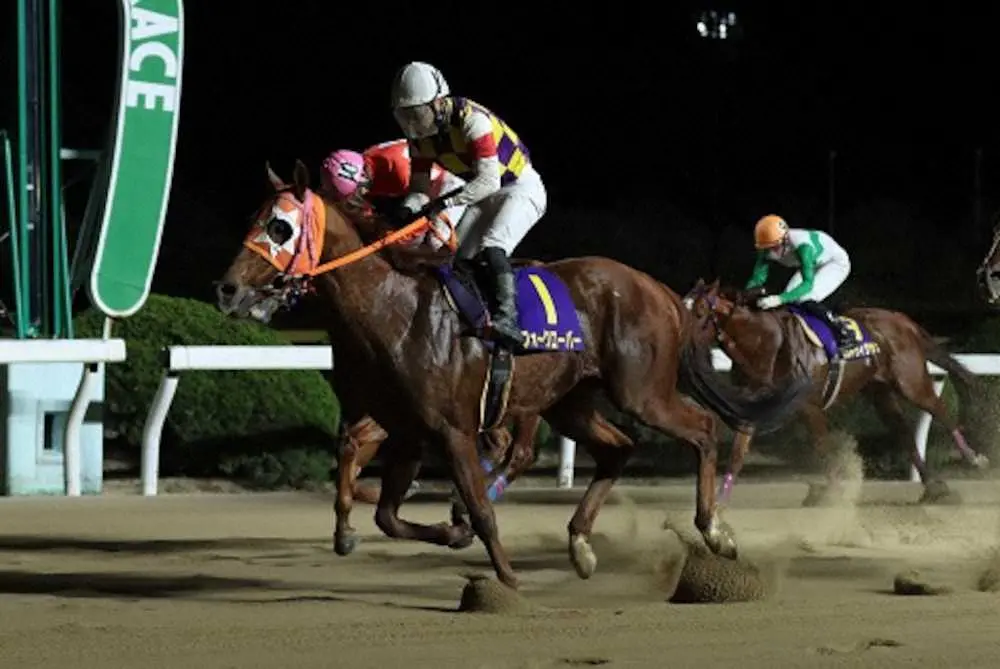 【画像・写真】【佐賀　佐賀オータムスプリント】24日発走　フォークローバー連覇なるか　有力馬を紹介