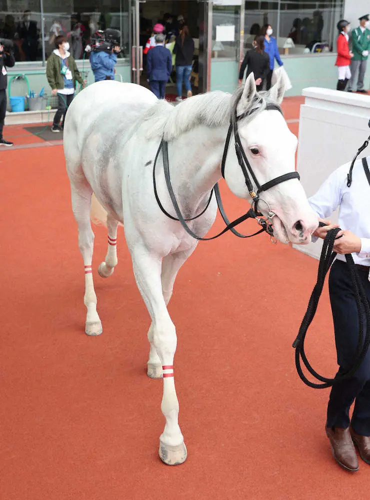 【画像・写真】＜阪神競馬7R＞一着のダノンハーロック（撮影・後藤　正志）