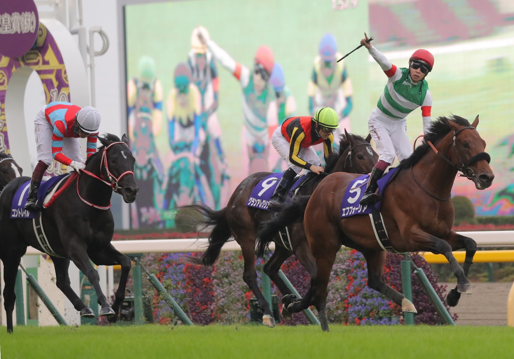 【画像・写真】天皇賞・秋　馬連的中！31日（日）東京は単勝回収率157.0%をマーク！