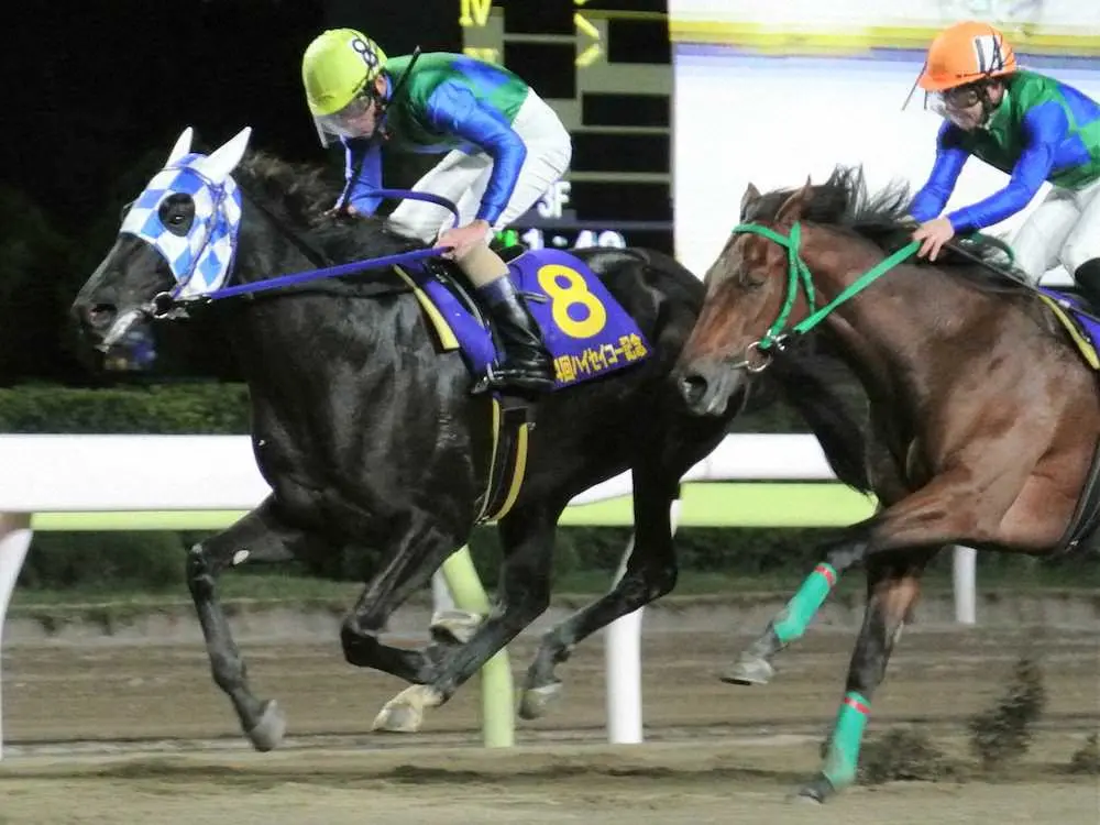【画像・写真】【大井・ハイセイコー記念】ノブレスノア重賞初V！展開生かし逃走