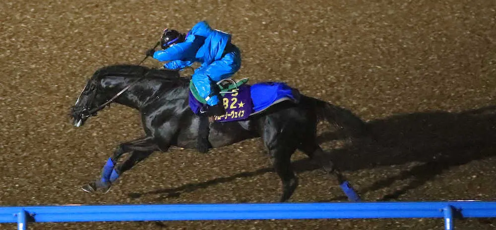 【画像・写真】【香港国際競走国内最終追い】グローリーヴェイズに力強さ、ダノンキングリーは迫力