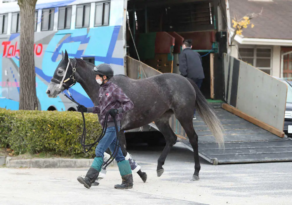 【画像・写真】クロノジェネシス　ラストラン有馬記念に向けて栗東帰厩