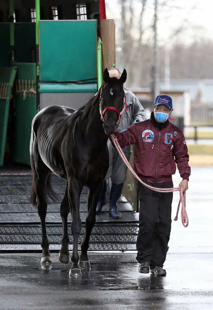 【画像・写真】コントレイル　社台SS到着、福田GM「愛される種牡馬になってほしい」