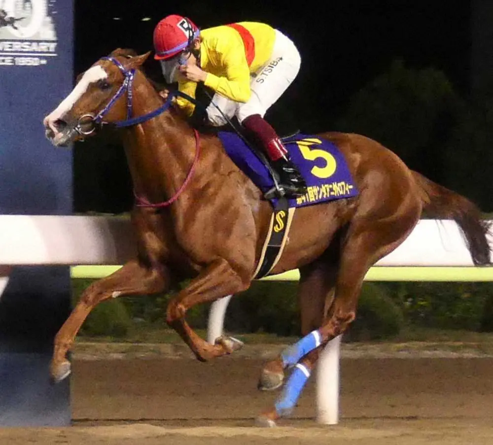 【画像・写真】【大井11R・勝島王冠】ワークアンドラブ　重賞3勝目へ！