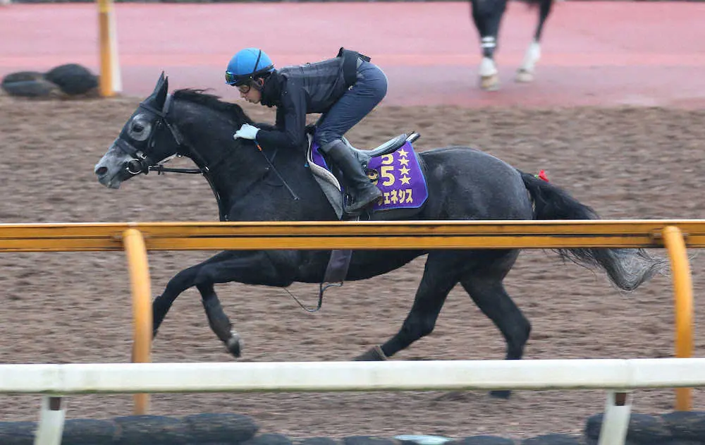 【画像・写真】【有馬記念2週前追い】クロノジェネシス　鋭い脚色披露！後半ピッチ上げてラスト1F11秒5