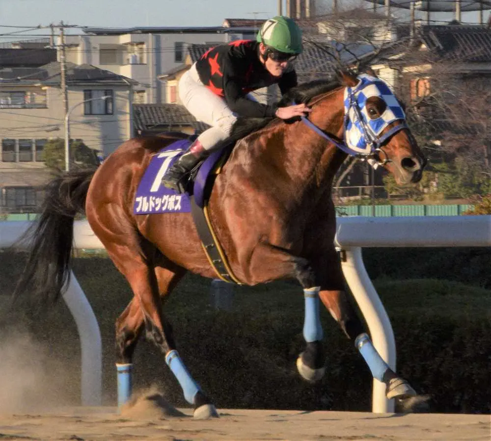 【画像・写真】【浦和競馬・ゴールドカップ】過去10年のデータで探るレース傾向