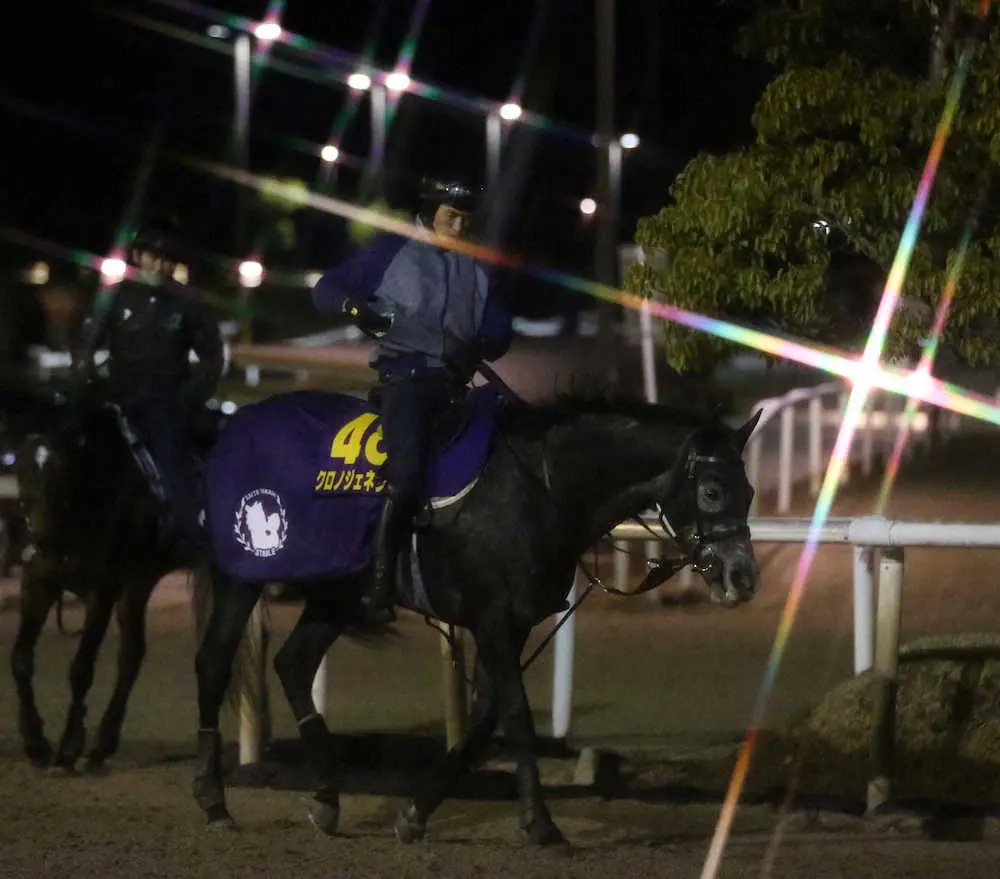 【画像・写真】【有馬記念】クロノジェネシス　輝く馬体、連覇へ万全　斉藤崇師「良くなってきた」