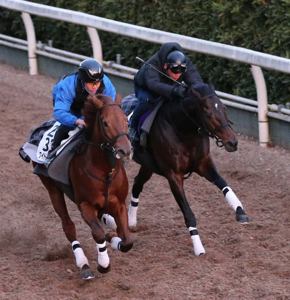 【画像・写真】【有馬記念】キセキ　ラストラン向けこん身の仕上げ、辻野師「もう一段良くなれば」