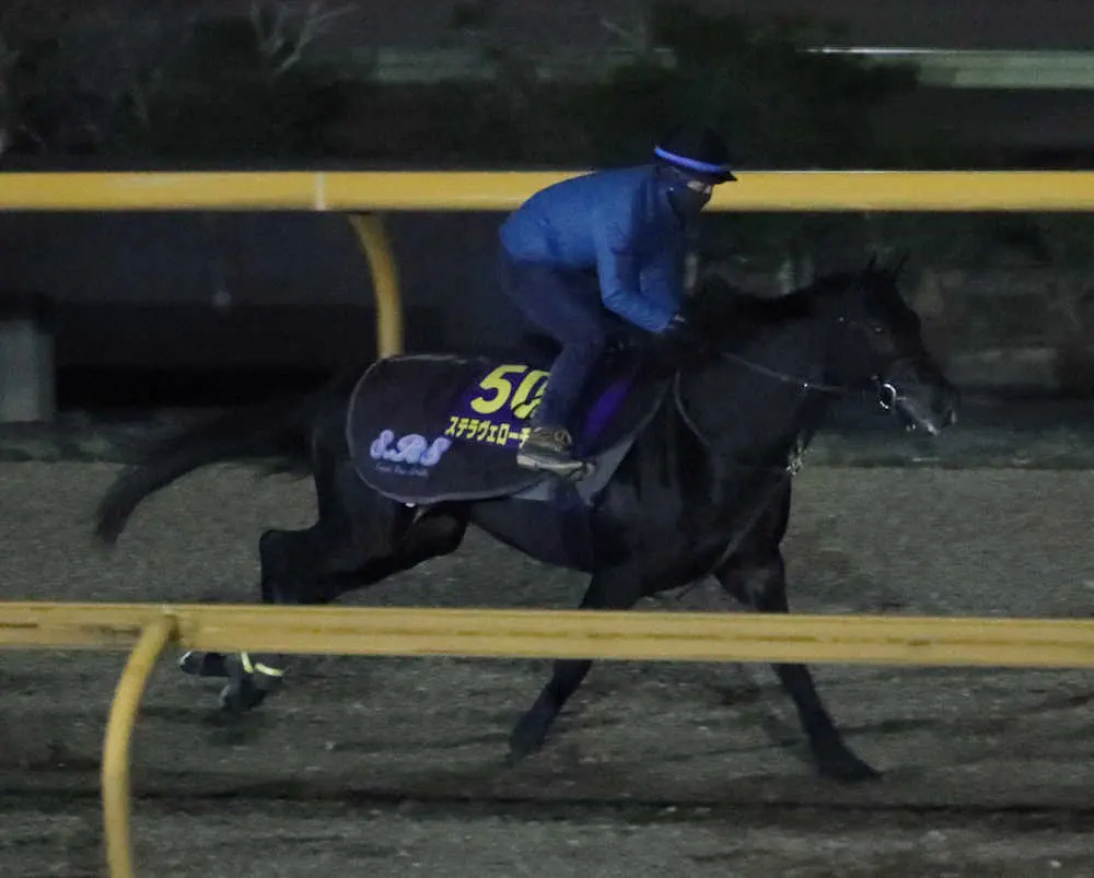 【画像・写真】【有馬記念】ステラヴェローチェ軽快　指示通りの時計、新コンビ・ミルコに全権委任