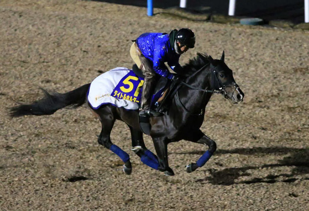 【画像・写真】【有馬記念】タイトルホルダー　さらにパワーアップ、同期エフフォーリア打倒へ気合