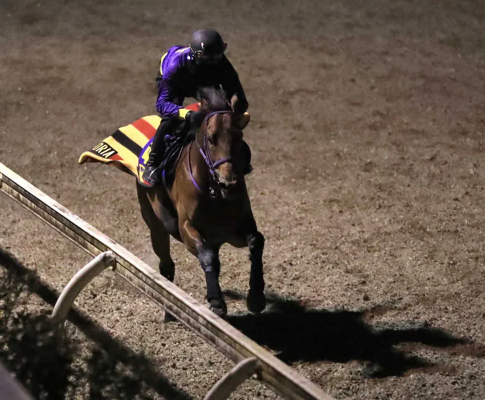 【画像・写真】【有馬記念】エフフォーリア　坂路で気合のラスト12秒5、鹿戸師手応え「天皇賞と同じ感じ」