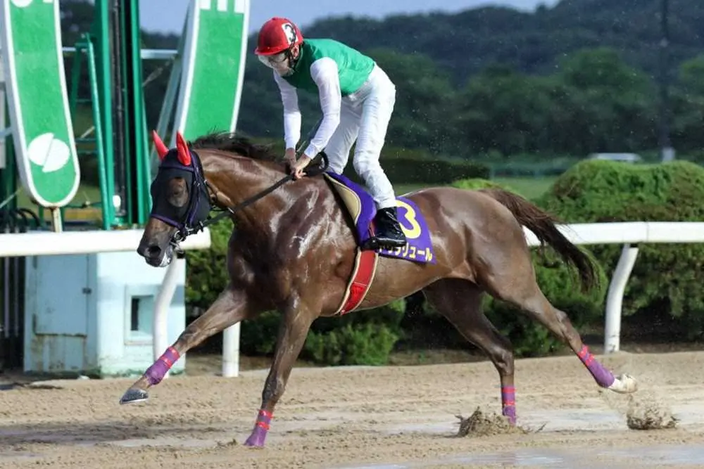 【画像・写真】【佐賀・中島記念】26日発走　ドゥラリュール死角なし！有力馬を紹介