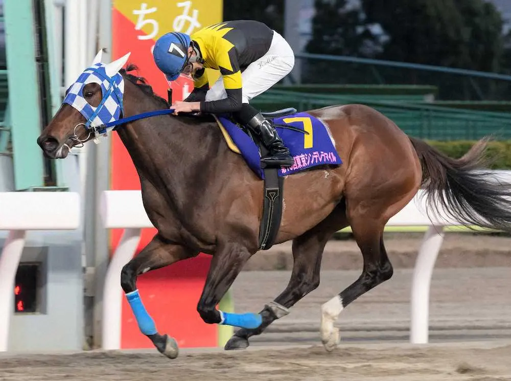 【画像・写真】【大井・東京シンデレラマイル】ダノンレジーナ連覇　2番手から堂々抜け出し