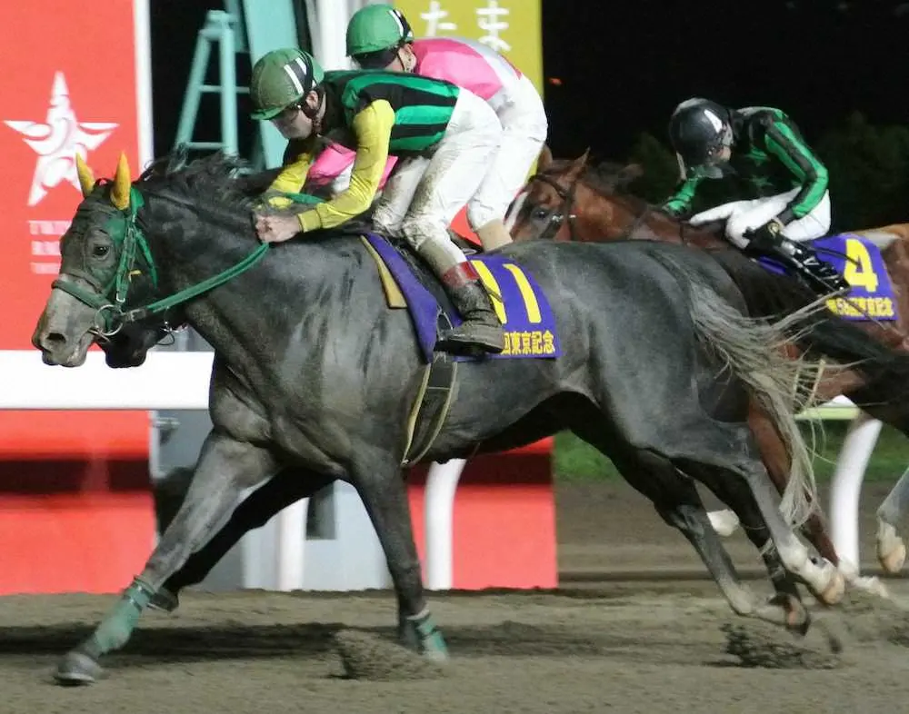 【画像・写真】【川崎11R・報知オールスターカップ】フレッチャビアンカ　重賞連勝だ、久々もOK